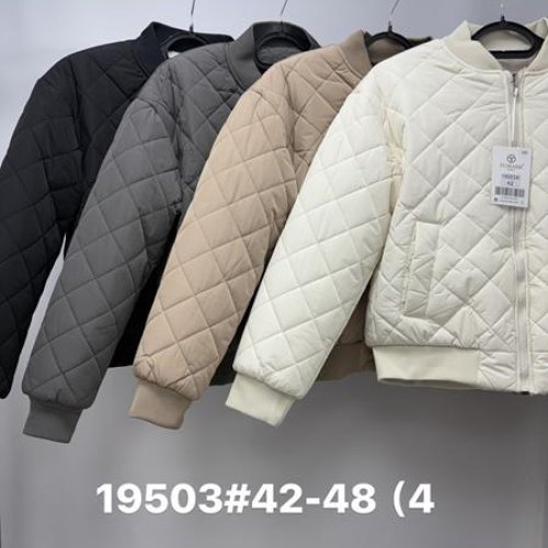 Куртка Jacket (42-48) 19503 beige (деми) Jacket 19503 beige