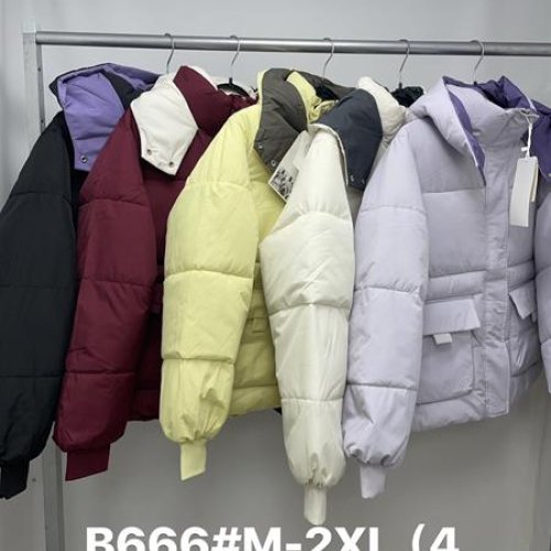 Куртка Jacket (M-2XL) B666 wine (деми) Jacket B666 wine