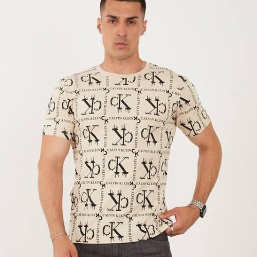 Футболка F.T.H (S-2XL) F116 beige (лето) F.T.H F116 beige