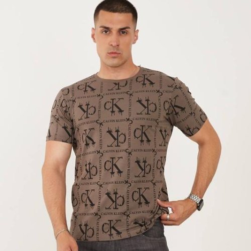 Футболка F.T.H (S-2XL) F117 brown (лето) F.T.H F117 brown