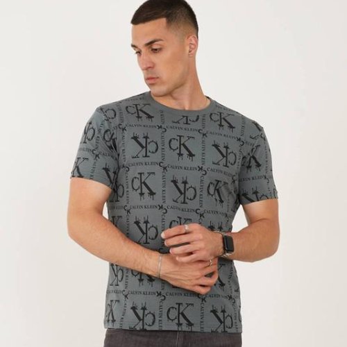 Футболка F.T.H (S-2XL) F118 grey (лето) F.T.H F118 grey