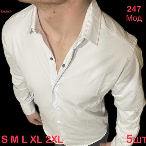 Рубашка Надийка (46-54) N247 white (деми) Надийка N247 white