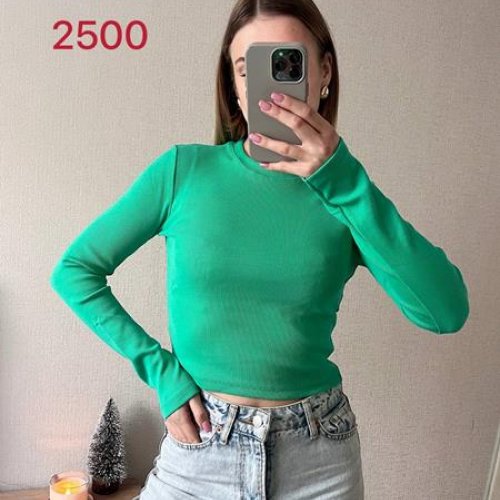 Топ FSN (42-46) 2500 green (деми) FSN 2500 green