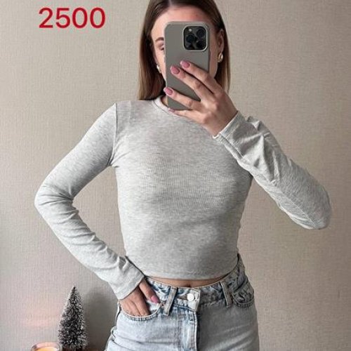 Топ FSN (42-46) 2500 grey (деми) FSN 2500 grey