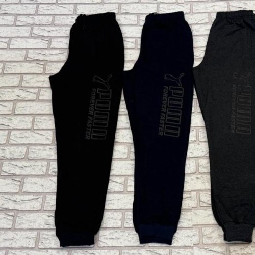 Штаны спорт Essa (46-54) E189 navy (деми) Essa E189 navy