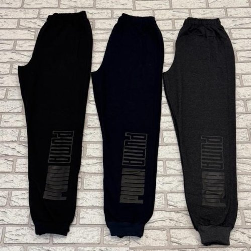 Штаны спорт Essa (46-54) E202 black (деми) Essa E202 black