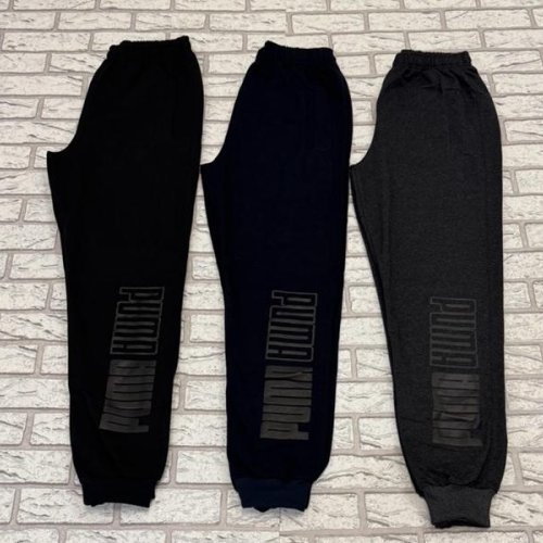 Штаны спорт Essa (46-54) E203 navy (деми) Essa E203 navy