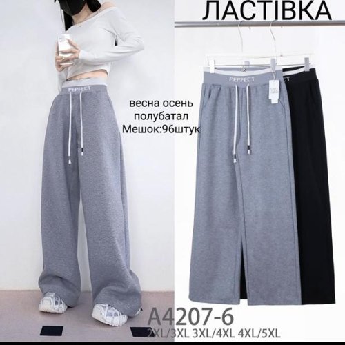 Штаны спорт Redoor (2XL-5XL) A4207-6 black (деми) Redoor A4207-6 black