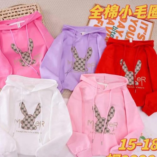 Худи Фунтик (6-9) FN81 lilac (деми) Фунтик FN81 lilac