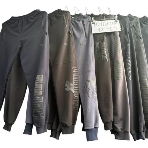 Штаны спорт Essa (38-46) E276 grey (деми) Essa E276 grey