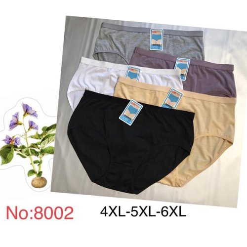 Трусы Redoor (4XL-6XL) Y8002 mix (деми) Redoor Y8002 mix
