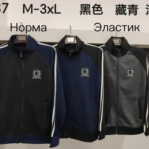Кофта спорт Vanda (M-3XL) 6637 d.grey (деми) Vanda 6637 d.grey