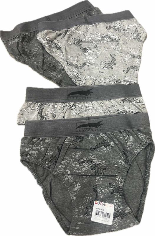 Трусы Anibur (6XL-7XL) 9781B1 mix (деми)