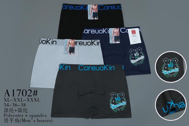 Трусы Redoor (XL-3XL) A1702 mix (деми)