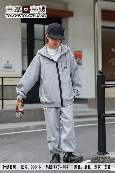 Костюм спорт Delfinka (134-152) 99016 l.grey (деми)