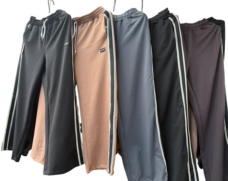 Штаны спорт Essa (46-54) E310 navy (деми)