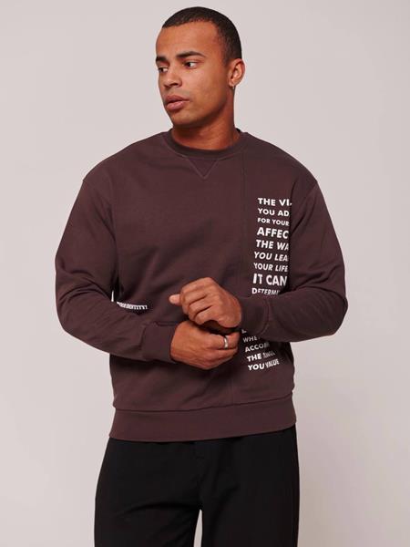 Свитер Little Secret (M-2XL) 400628 brown (деми)