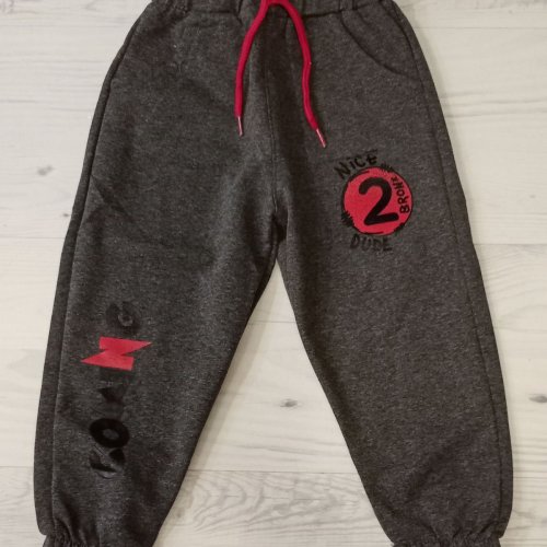 Штаны спорт Malibu2 (1-3) ML53 grey (деми) Malibu2 ML53 grey