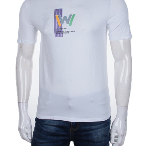 Футболка CND2 (48-56) 4117-NT48-21-2 (лето) CND2 4117-NT48-21-2