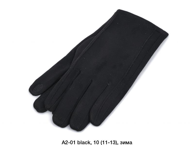 Перчатки Descarrilado (11-13) A2-01 black (зима)