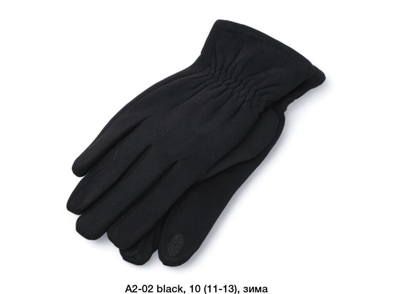 Перчатки Descarrilado (11-13) A2-02 black (зима)