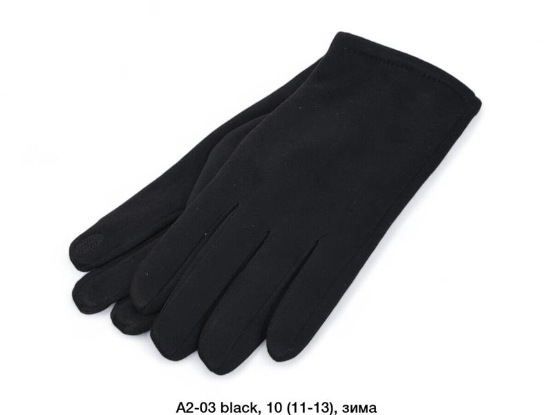 Перчатки Descarrilado (11-13) A2-03 black (зима)