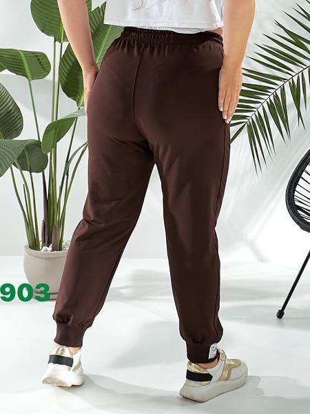 Штаны спорт T.S.Eliot (50-58) 903 brown (деми)