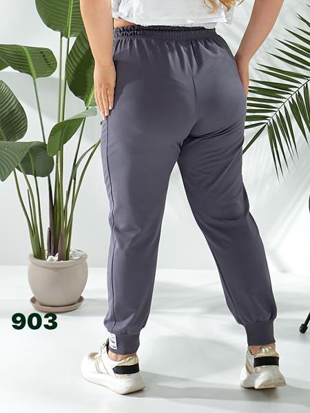 Штаны спорт T.S.Eliot (50-58) 903 grey (деми)