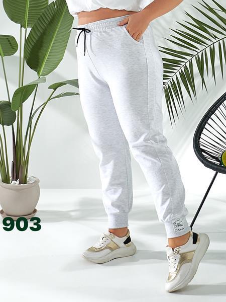 Штаны спорт T.S.Eliot (50-58) 903 l.grey (деми)