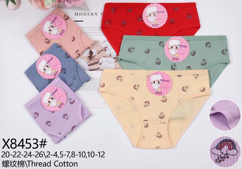 Трусы Redoor (20-26) X8453 mix (деми)