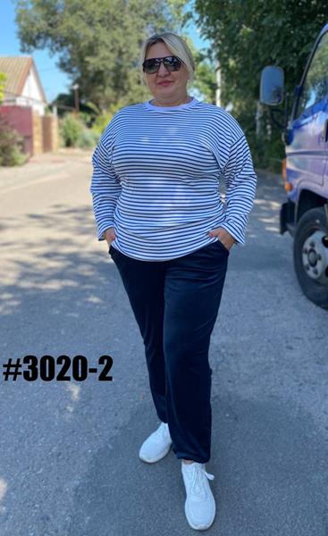 Штаны спорт BAT (54-60) 3020-2 navy (деми)