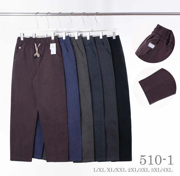 Джинсы Hoan (L-4XL) 510-1 mix (деми)