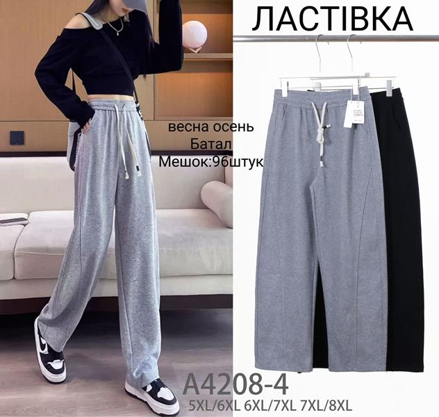 Штаны спорт Hoan (5XL-8XL) A4208-4 mix (деми)