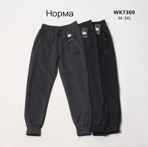 Штаны спорт Hoan (M-3XL) WK7309 grey (деми)