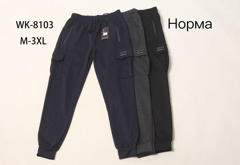 Штаны спорт Hoan (M-3XL) WK8103 black (деми)