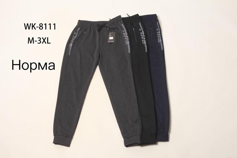 Штаны спорт Hoan (M-3XL) WK8111 black (деми)