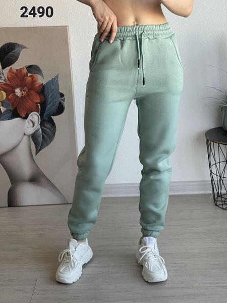 Штаны спорт FSN (46-52) 2490 mint (зима)