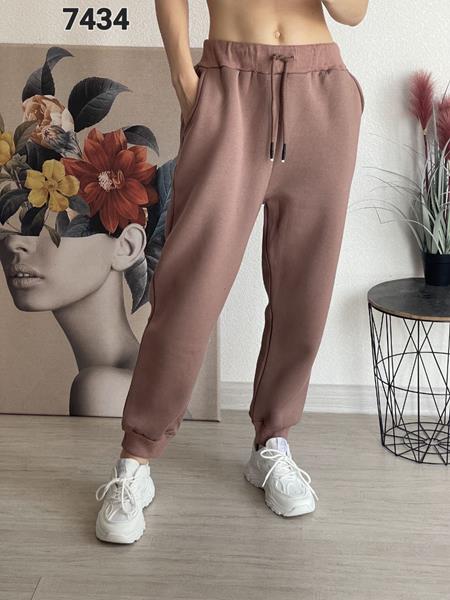 Штаны спорт FSN (46-52) 7434 brown (зима)