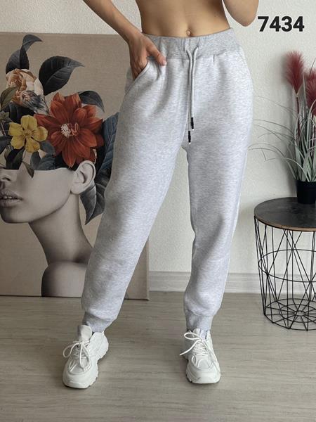 Штаны спорт FSN (46-52) 7434 grey (зима)