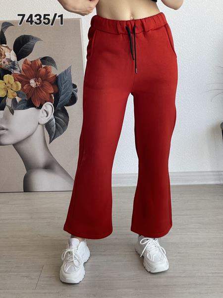 Штаны спорт FSN (42-48) 7435-1 red (зима)