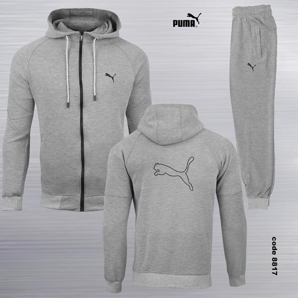 Костюм спорт AZT (S-2XL) 8817 grey (деми)