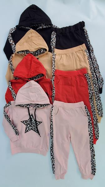 Костюм спорт Meloria (2-5) ML2185 pink (деми)