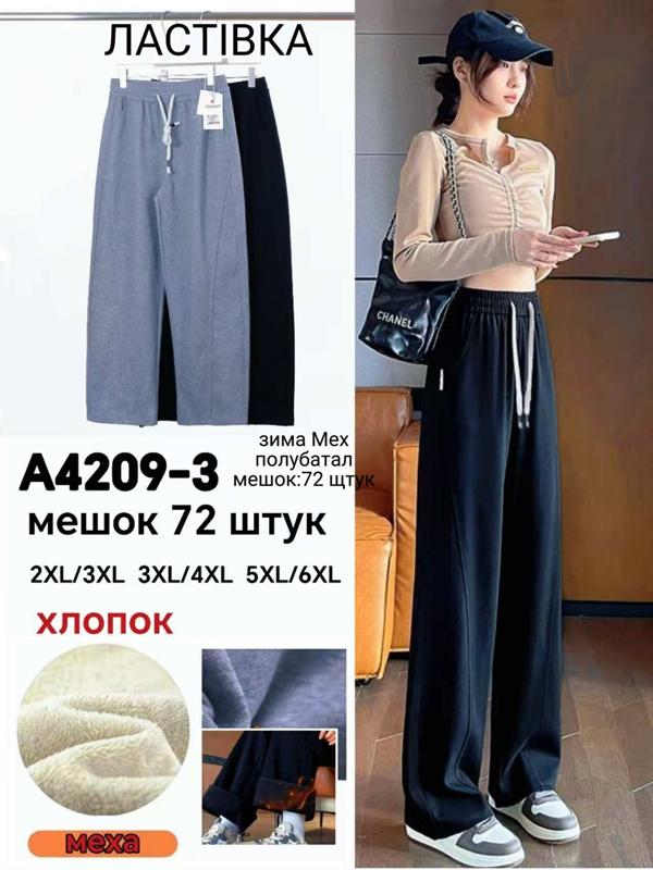 Штаны спорт Redoor (2XL-6XL) A4209-3 mix (зима)