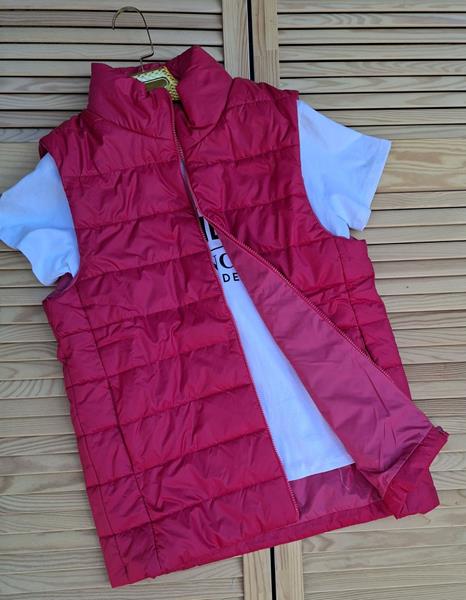 Жилетка Sport style (M-3XL) 01 wine (деми)