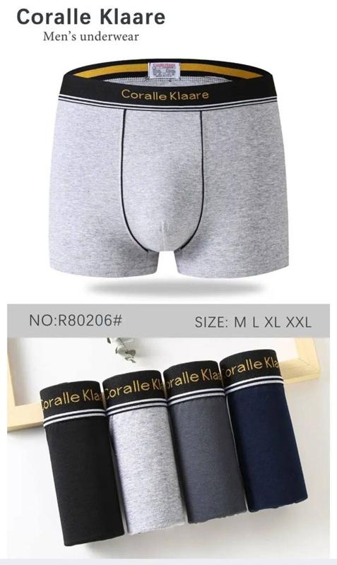 Трусы Comfort (M-3XL) R80206 (деми)