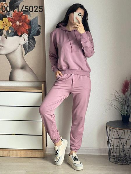 Костюм спорт FSN (46-52) 0011-5025 powder (деми)