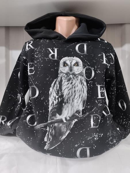 Худи Panda (S-2XL) 1420 black (зима)