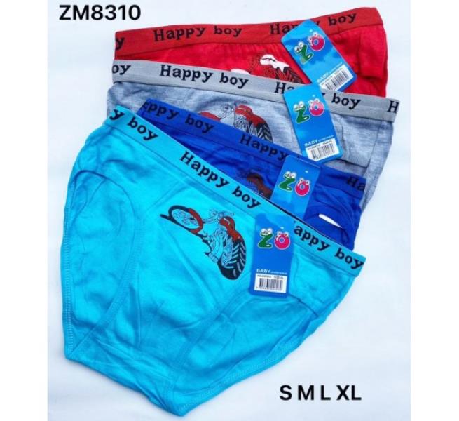 Трусы Redoor (S-XL) ZM8310 mix (лето)