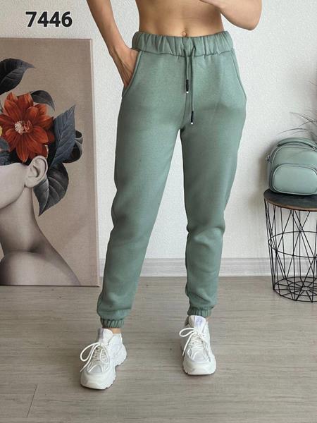 Штаны спорт FSN (42-48) 7446 mint (зима)