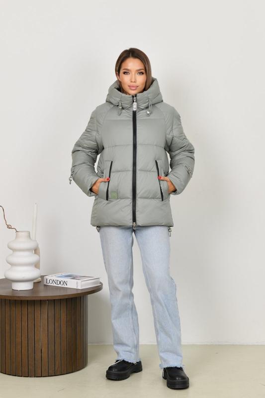 Куртка LiOpt (46-56) 168 grey (зима)